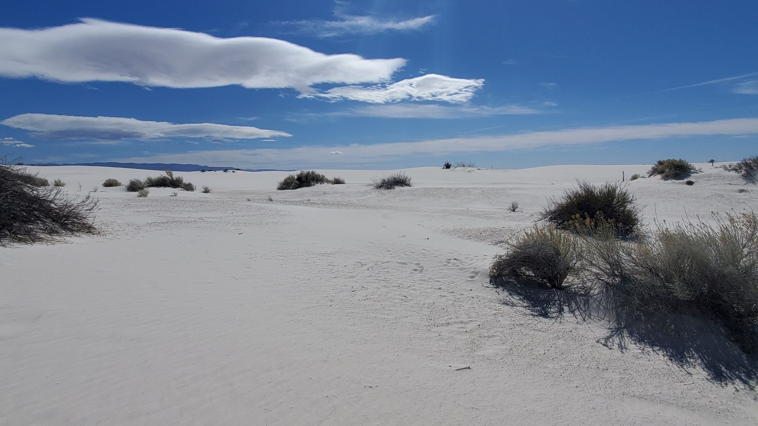 White Sands Playa and Dune Life Trails 